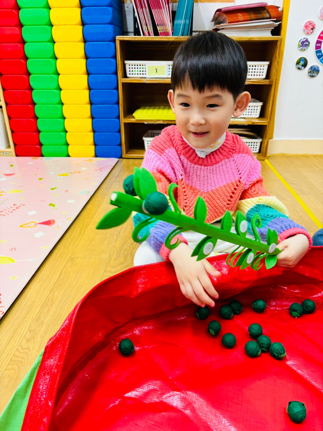 팡팡! 콩털기 놀이(반제)