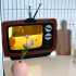 TV 안전거울