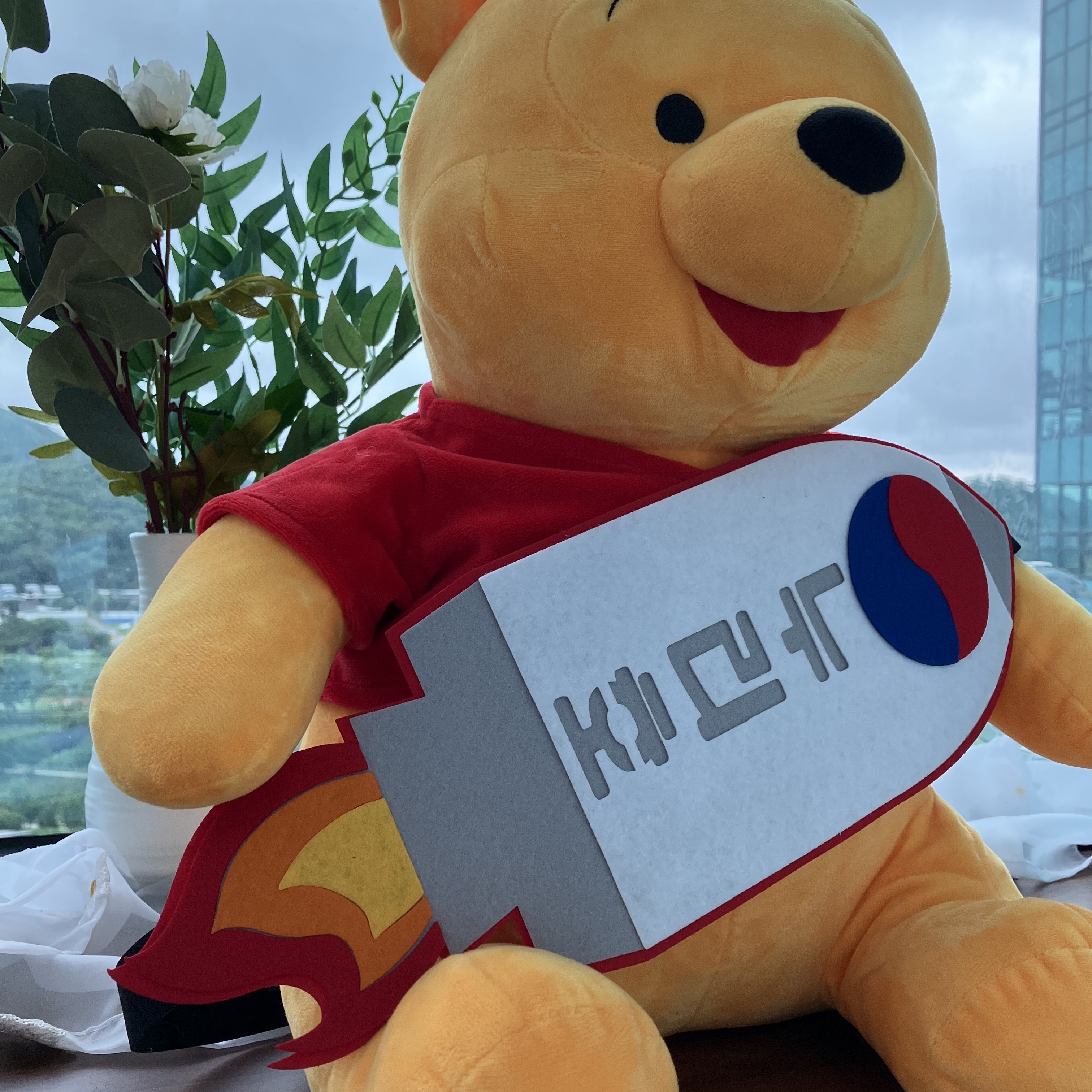 펠트 누리호