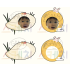 보름달, 송편 얼굴 합성
