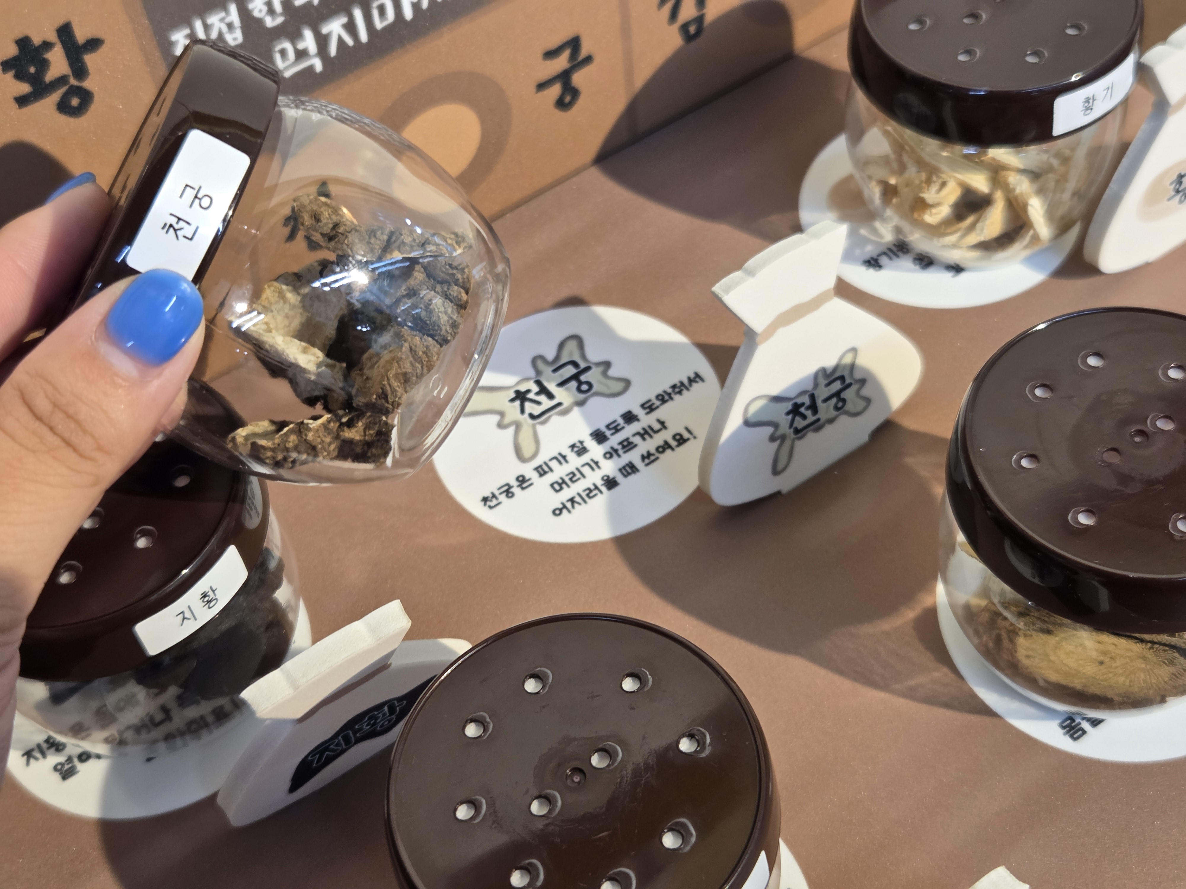 [오픈특가] 한약재 관찰병