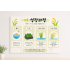 벼 성장과정 포스터